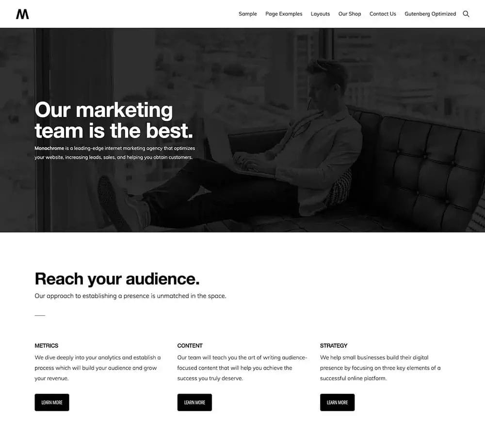 A man sits on a sofa using a laptop in a modern office; bold text reads, "Our marketing team is the best" with sections on audience reach, metrics, content, and strategy—built seamlessly on the StudioPress Genesis Framework.