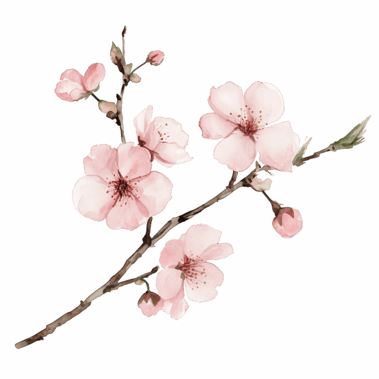 Watercolor illustration of a cherry blossom branch with light pink flowers and green leaves on a transparent background.